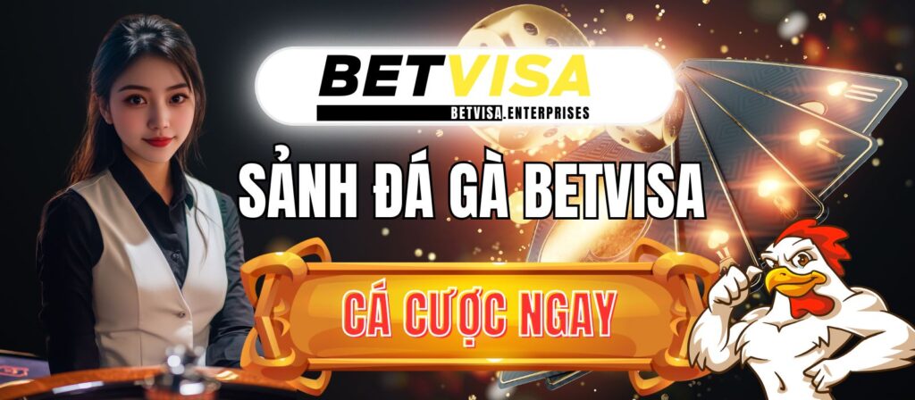 Betvisa Acream Iq 🎖️ Nhà cái đá gà online uy tín số #1 VN 1 betvisa